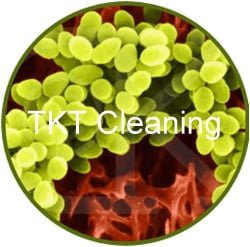 vi-khuan-tren-tham-nem-ghe-sofa-rem (2)-tkt-cleaning