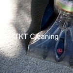 Hot water extraction vs steam cleaning. Difference?