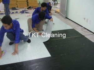 san vinyl dang tam