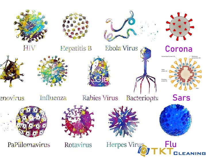 Hình dạng của các loại Virut phổ biến trên thế giới