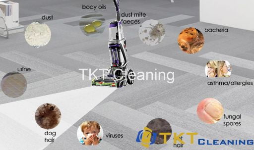 TKT office carpet cleaning prevent harmful factors in carpet