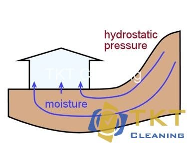 Nguyên lý áp lực thủy tĩnh