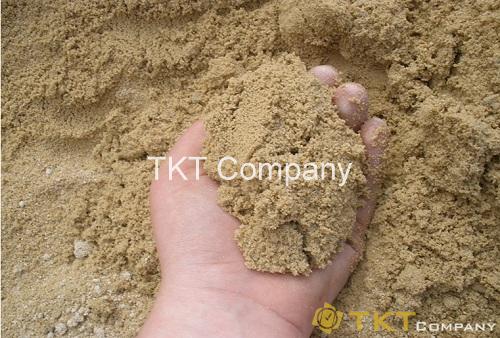 Kiểm tra độ sạch của cát bằng nắm tay