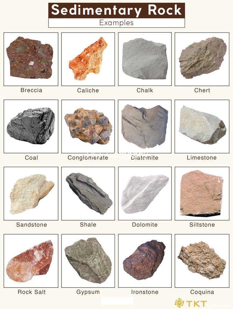 Các loại đá trầm tích phổ biến