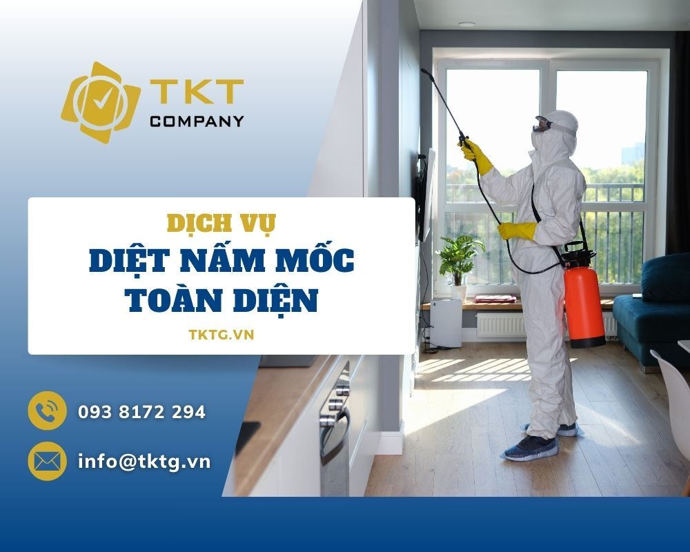 Dịch vụ diệt nấm mốc an toàn, hiệu quả