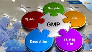 Đối tượng cần áp dụng tiêu chuẩn GMP