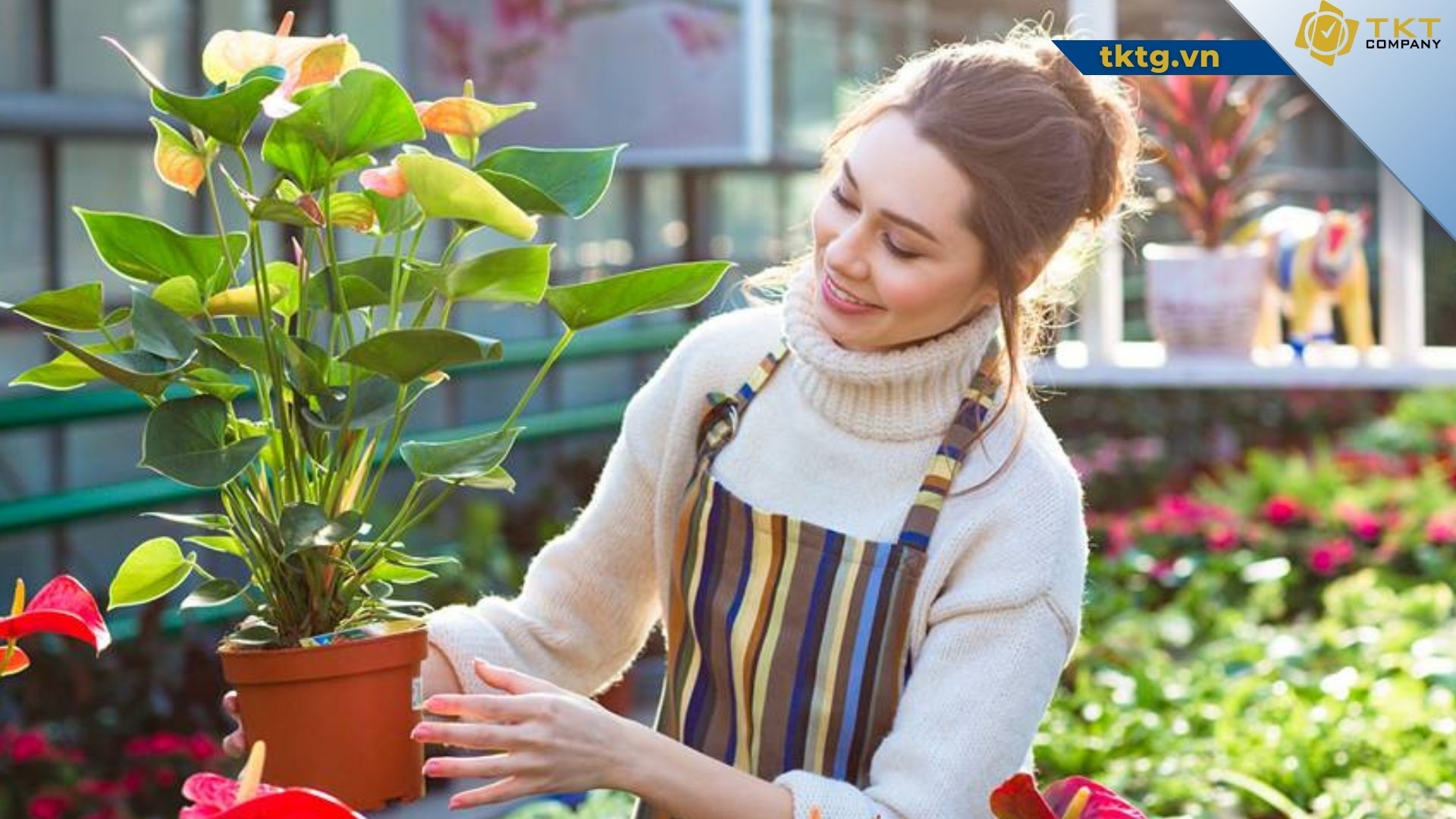 Dịch vụ chăm sóc cây cảnh