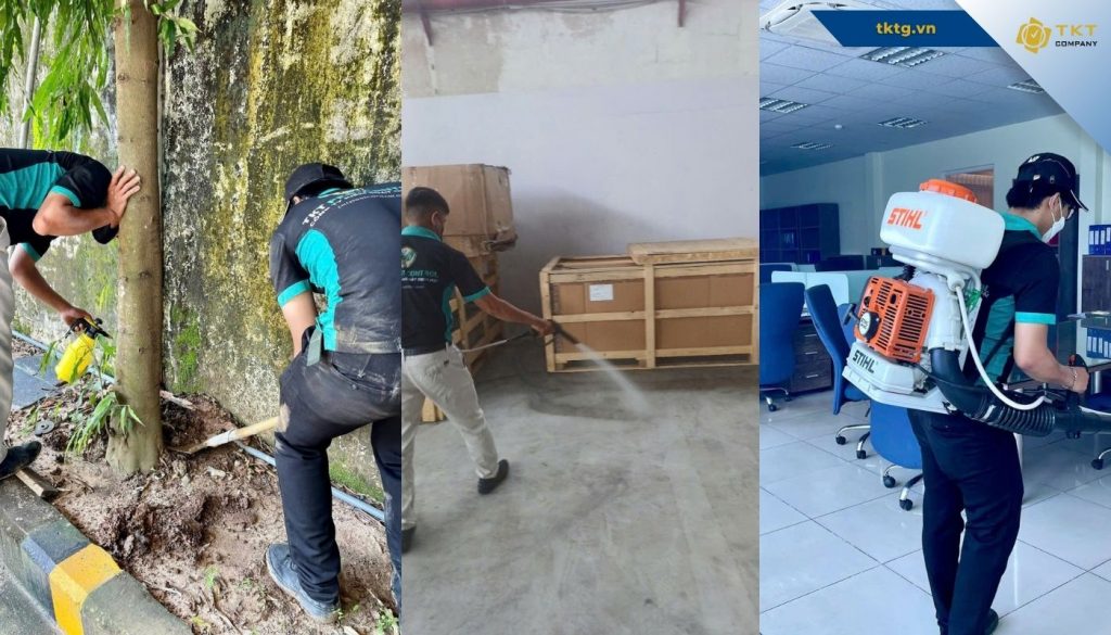 Hoạt động nội bộ triển khai dịch vụ kiểm soát dịch hại, diệt mối, diệt côn trùng