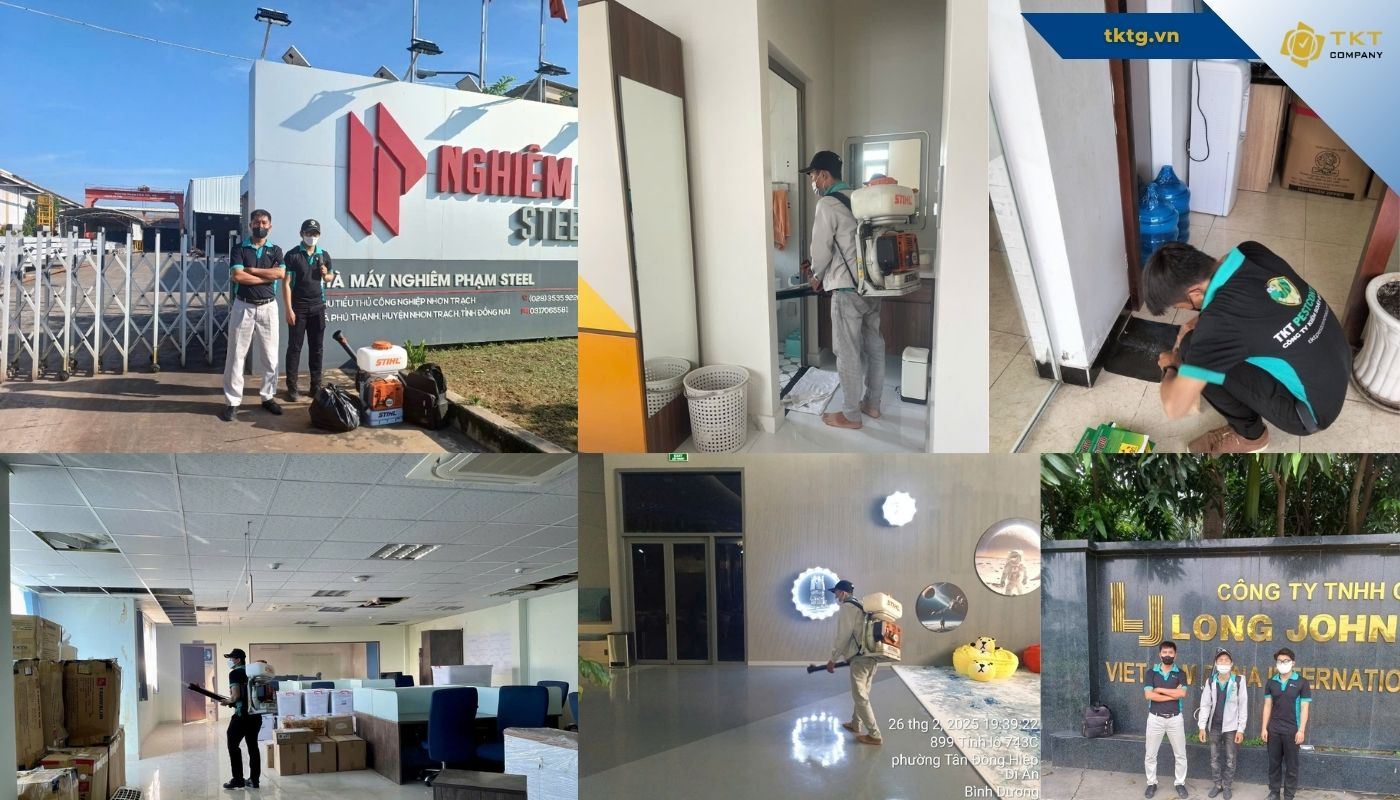 Hoạt động nội bộ triển khai dịch vụ kiểm soát dịch hại Pest Control