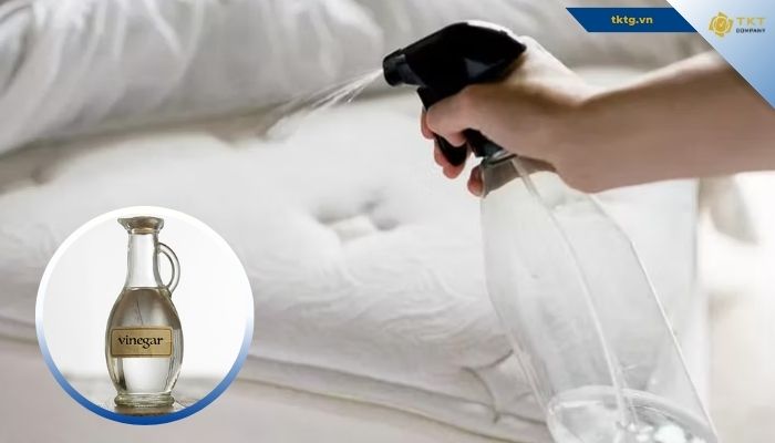 Cách xử lý mùi khai trên nệm đã lâu bằng giấm ăn