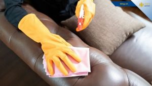 Dung dịch chuyên dụng làm sạch sâu Dung dịch chuyên dụng làm sạch sâu