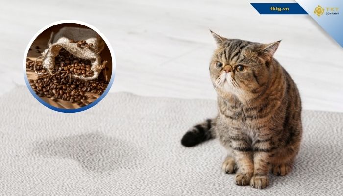 Khử mùi khai nước tiểu chó mèo bằng hạt cà phê 