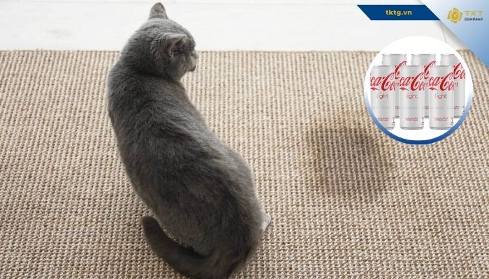 Khử mùi nước tiểu chó mèo bằng nước có Gas