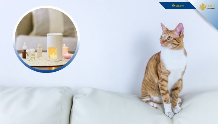 Khử mùi nước tiểu bằng tinh dầu tự nhiên