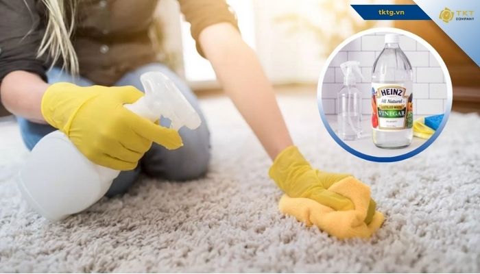 Cách xử lý nấm mốc trên thảm bằng giấm trắng