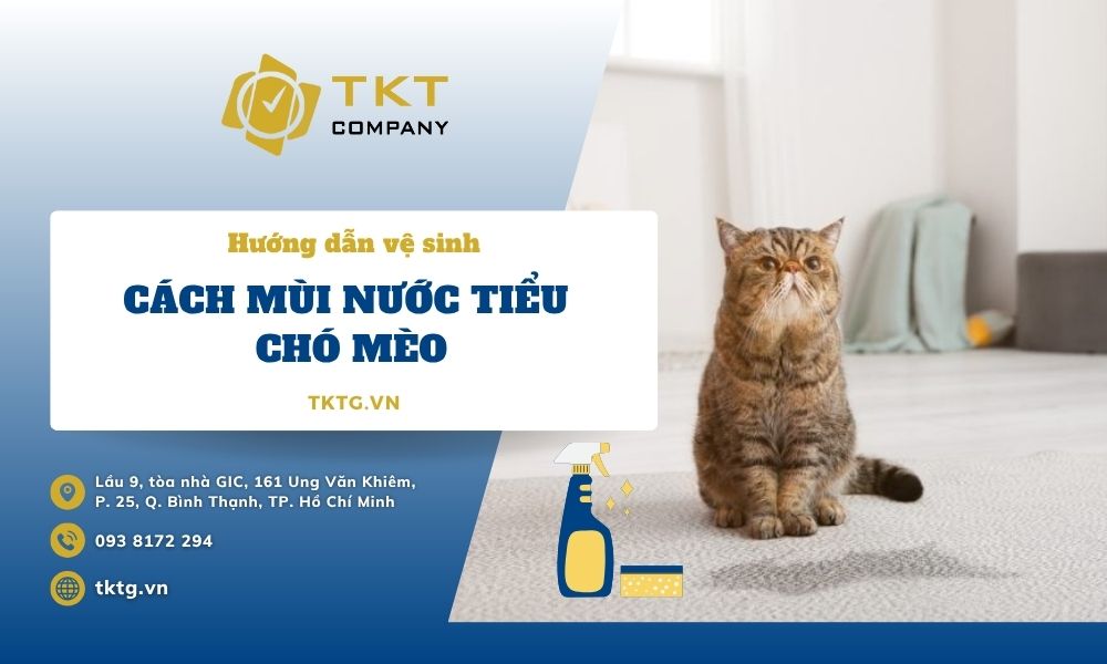 Cách khử mùi nước tiểu chó mèo trên nệm, sofa hiệu quả tại nhà