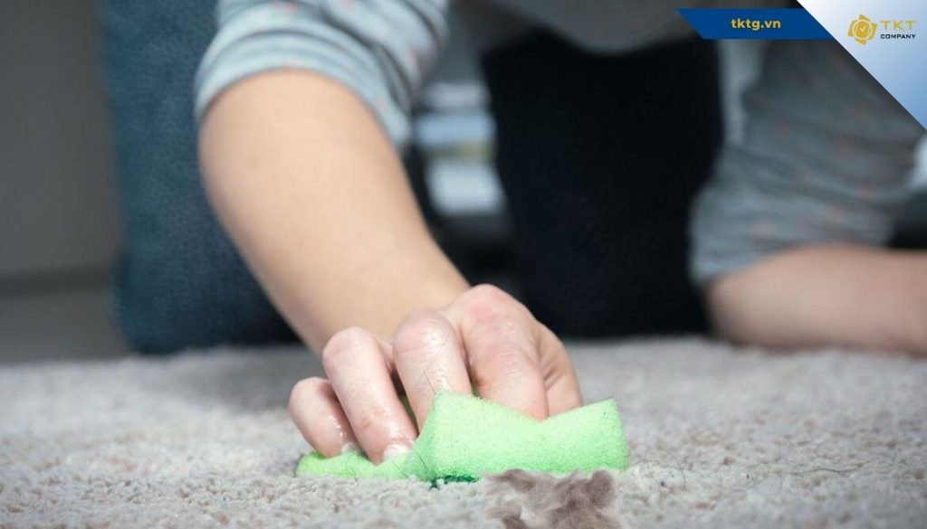 làm sạch lông thú cưng trên thảm bằng miếng bọt biển