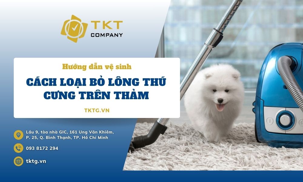 10 cách loại bỏ lông thú cưng trên thảm, vải và đồ nội thất