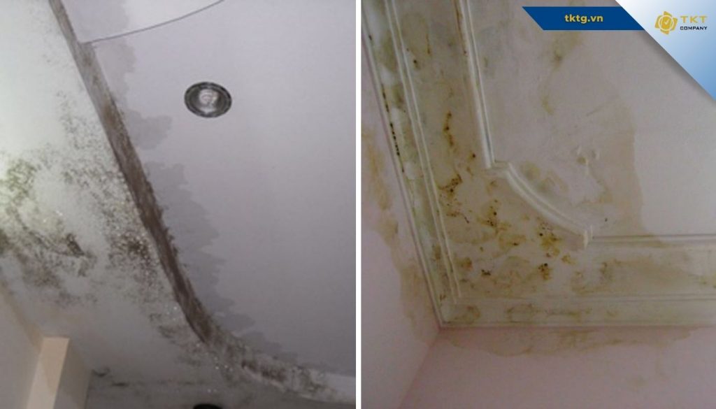 Hậu quả của trần thạch cao bị ngấm nước