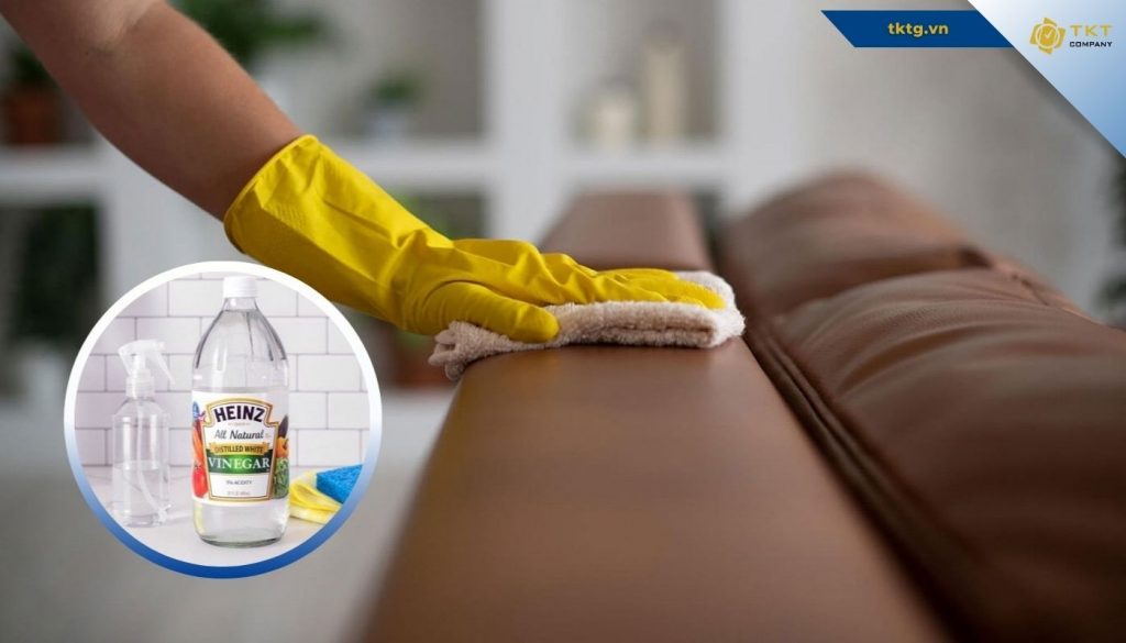 Có thể vệ sinh sofa da bị mốc bằng giấm trắng