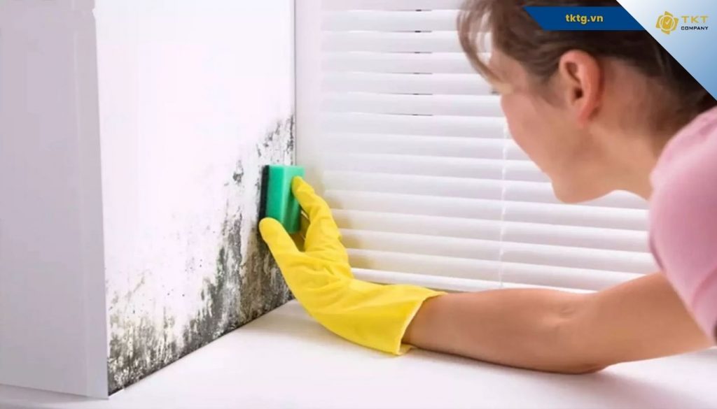 Để xử lý vết ẩm mốc trên tường, cần dùng giấm xịt trực tiếp vào vết bẩn