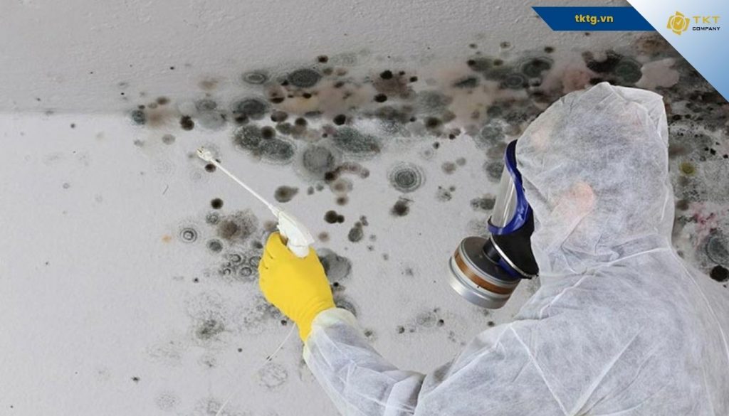 Các lưu ý quan trọng khi thực hiện cách làm sạch trần nhà bị mốc