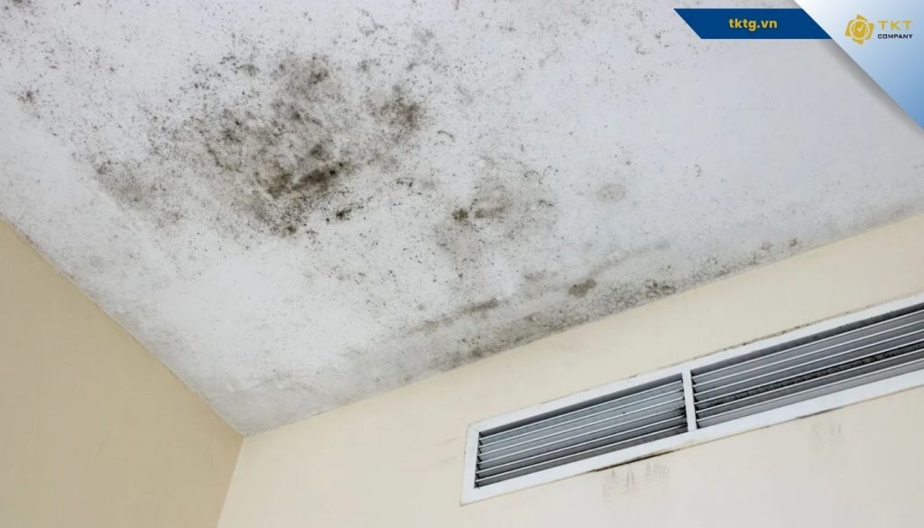 TRần nhà ở bị ẩm mốc do bị thấm dột, thời tiết nồm, thi công lỗi